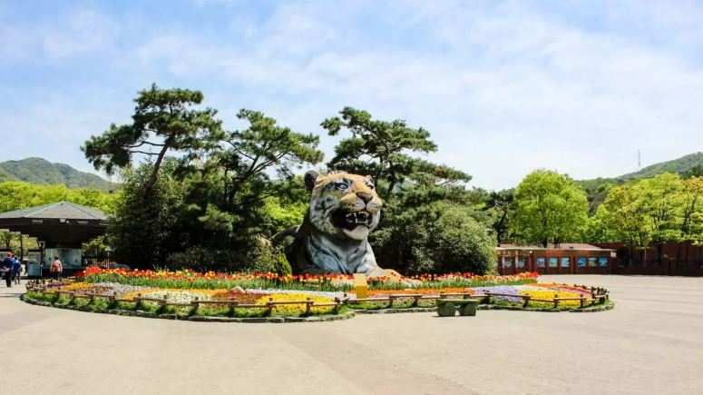 韓國首爾動物園套票（含天空纜車、大象列車）線上訂票韓國動物園 $342 - 愛票網