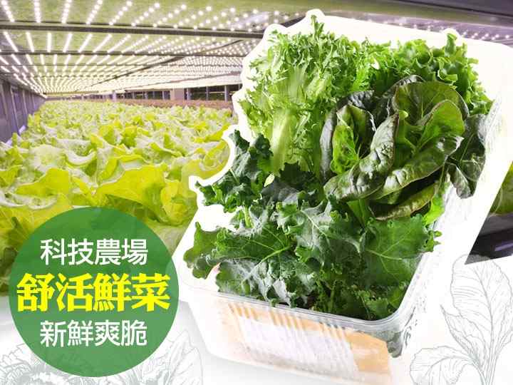 綜合舒活鮮菜盒 $159 - 愛票網