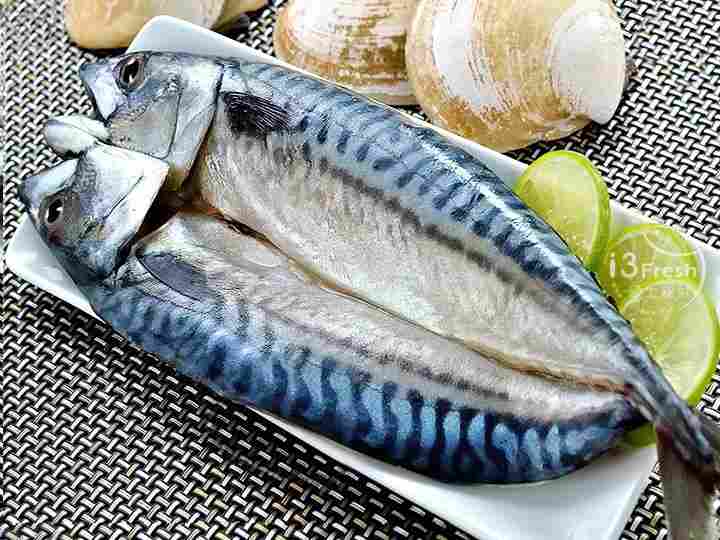 挪威整尾鯖魚290g  - 愛票網