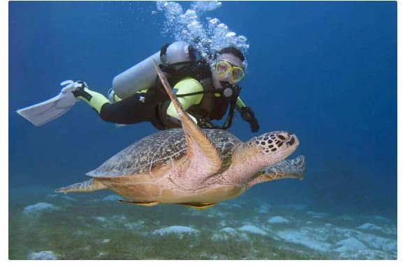 泰國斯米蘭群島快艇浮潛之旅（蔻立出發） $3224 - 愛票網