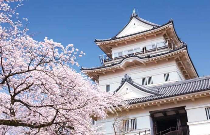 日本箱根海盜船、小田原城、大涌谷、蘆之湖（保證有位）東京巴士一日遊線上訂票 $1645 - 愛票網