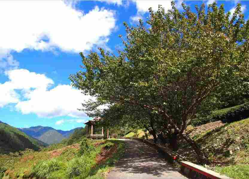 台中農場 2 日遊 武陵農場紫藤花季、福壽山天池、富野渡假村 -線上訂票- 愛票網