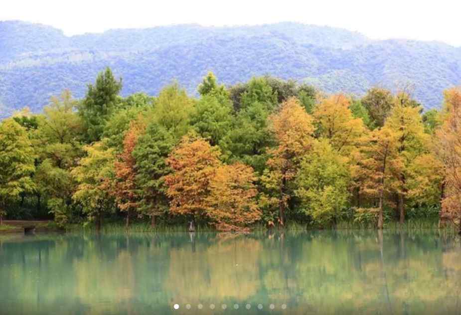 【花蓮 IG 打卡景點一日遊】瑞穗牧場、雲山水、石梯坪、親不知子斷崖 $950 - 愛票網