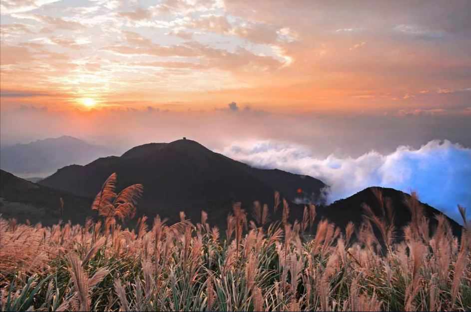 陽明山擎天岡草原｜台北秋風賞芒草包車一日遊  - 愛票網