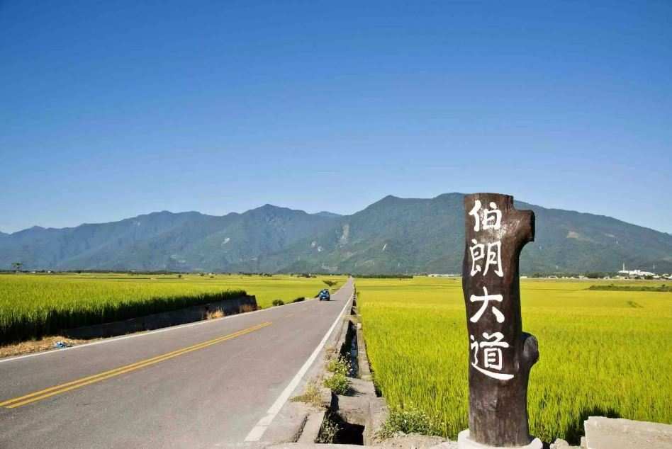 東台灣大自然一日遊新光兆豐農場、池上伯朗大道、武陵綠色隧道（花蓮出發、台東結束） $4000 - 愛