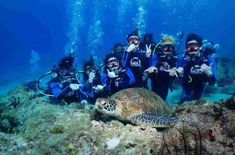 小琉球熊潛水 FUN DIVE 岸潛活動（需有潛水執照）電子票 - 熊愛潛水店