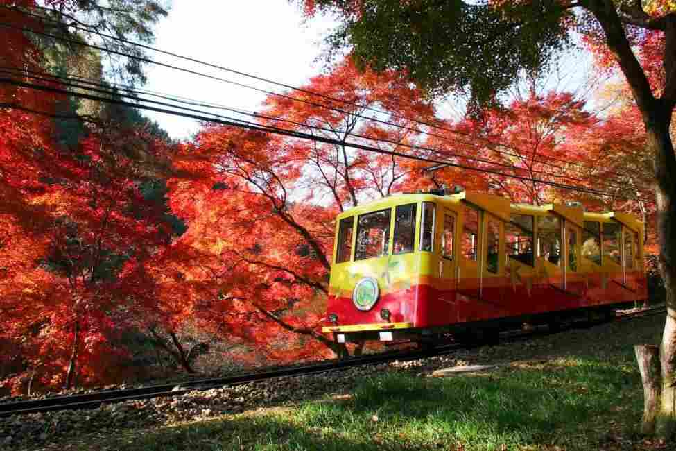 東京交通票券｜京王線一日券＋高尾山纜車套票 $374 - 愛票網