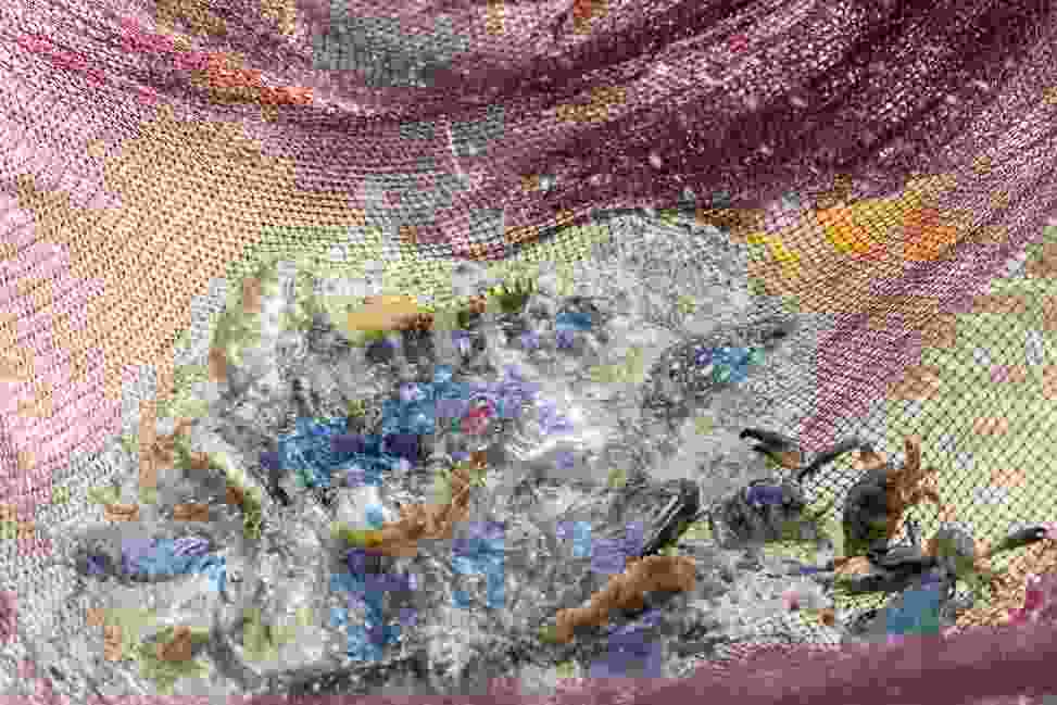 2025 澎湖花火節澎湖潮間帶．石斑豐魚季半日遊．阿婆抱墩．澎湖最原始豐富潮間帶體驗．現抓現炸石斑魚