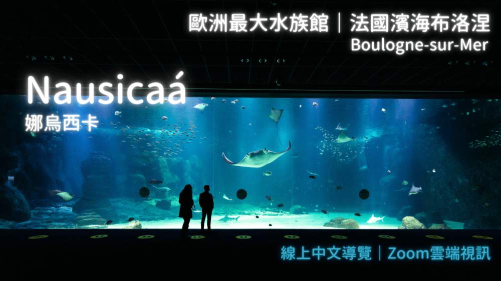 防疫首選  悠遊海底神秘世界  歐洲最大水族館  法國濱海布洛涅 NAUSICAA 娜烏西卡 線上中