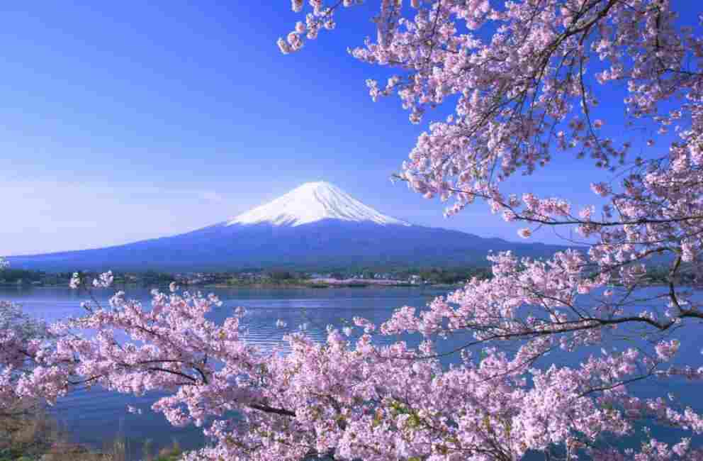 東京近郊一日遊 河口湖纜車、富士山五合目 東京市區出發 $2371 - 愛票網