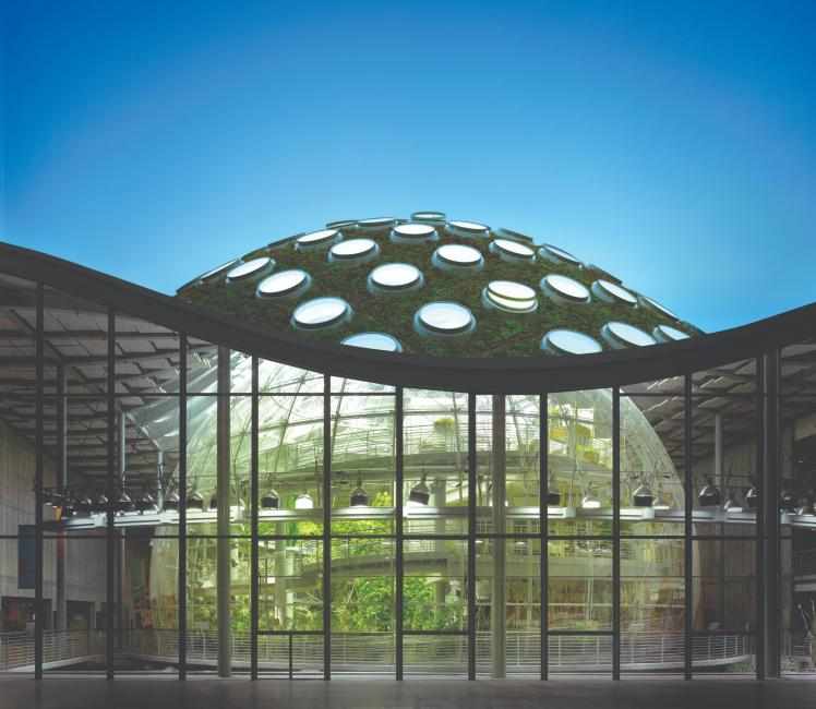 美國舊金山  加州科學院 California Academy of Sciences 門票 $81