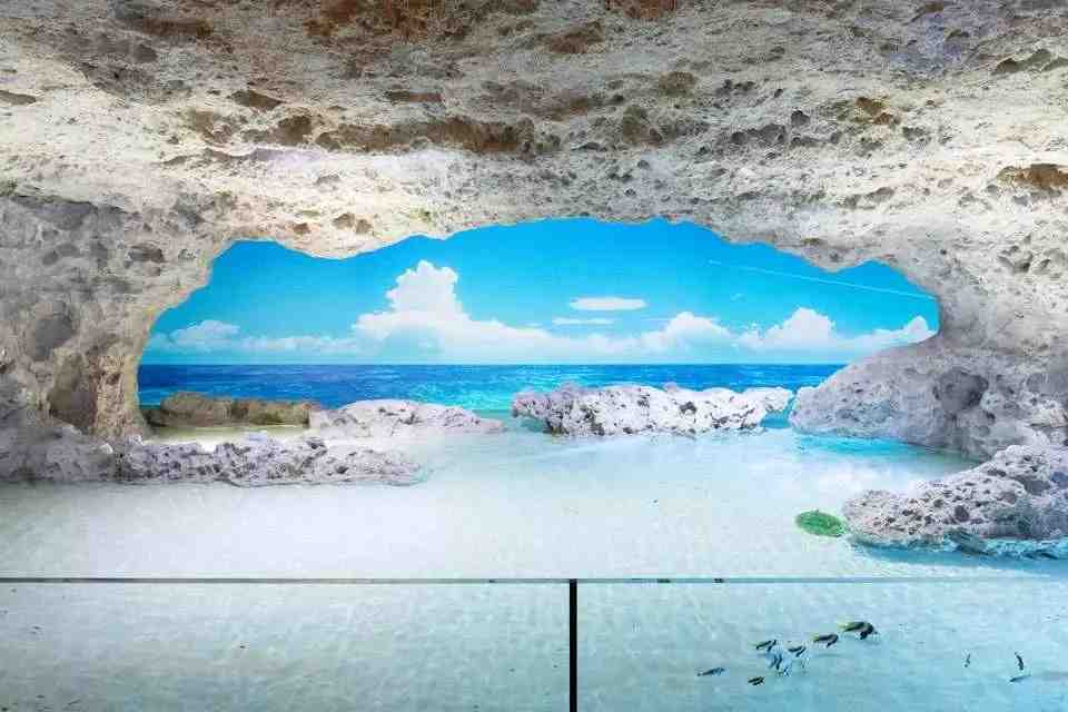 日本沖繩・豊崎 DMM Kariyushi 水族館門票 $613 - 愛票網