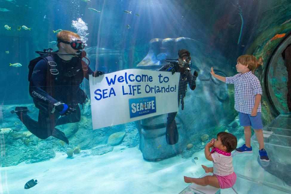 美國奧蘭多  海洋生物水族館 SEA LIFE Orlando Aquarium 門票 $949 -