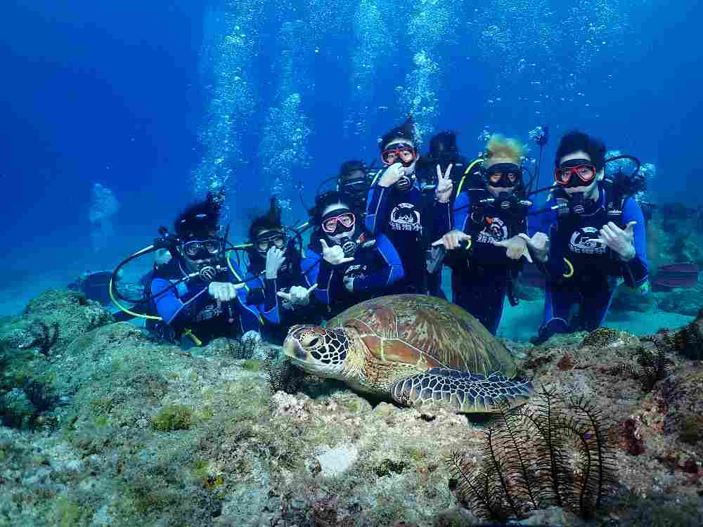 小琉球熊潛水 FUN DIVE 岸潛活動（需有潛水執照） $1615 - 愛票網