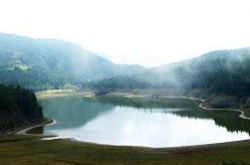宜蘭太平山翠峰湖自然之旅(宜蘭出發) - 翔麟旅行社有限公司 X 台灣觀巴