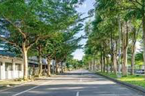 鳳林小鎮自行車逍遙遊，享受騎行慢生活 - 翔麟旅行社有限公司 X 台灣觀巴
