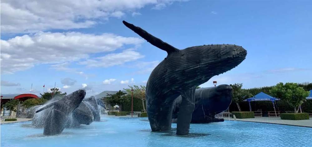 屏東海生館 國立海洋生物館門票 $420 - 愛票網