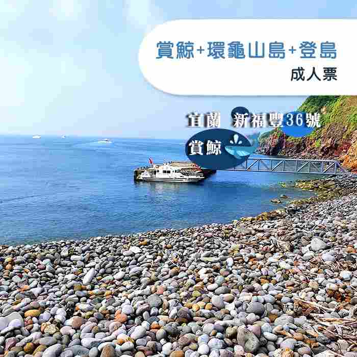 【宜蘭】新福豐36號賞鯨+環龜山島+登島-成人票 $1399 - 愛票網