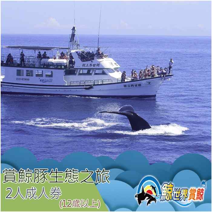 花蓮鯨世界賞鯨豚生態之旅成人 雙人券 $1350 - 愛票網
