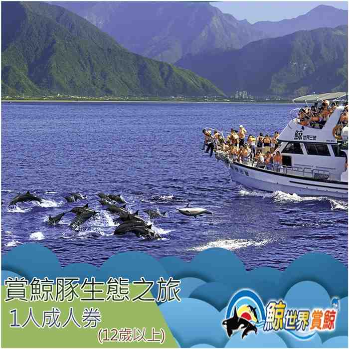 花蓮鯨世界賞鯨豚生態之旅成人券 $688 - 愛票網