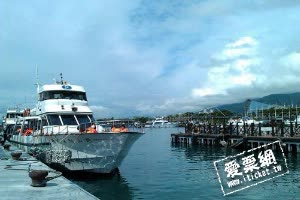 宜蘭賞鯨船行 賞鯨+登島+繞島 孩童票