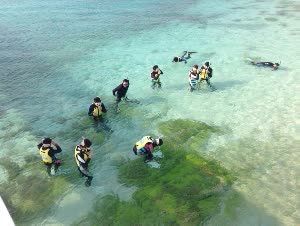 沖繩浮潛聖地慶良間Kuefu無人島浮潛／潛水半日遊中文教練＆免費攝影 $1800 - 愛票網