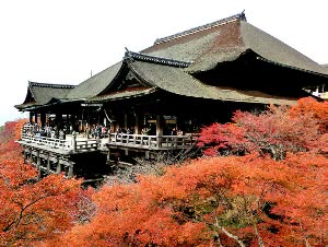 【京都奈良一日遊】伏見稻荷大社．嵐山．金閣寺．奈良公園 【大阪、京都出發】 $975 - 愛票網