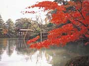 日本石川縣Ishikawa飯店訂房比價 $1000 - 愛票網