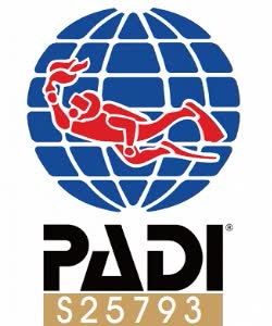 印尼峇里島體驗潛水 / PADI 潛水證照課程【峇里島專業潛水訓練】 $3556 - 愛票網