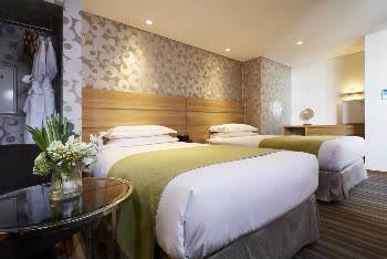   韓國首爾九樹飯店明洞 Nine Tree Hotel Myeong-dong  線上住宿訂房 $