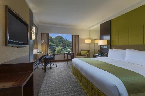 新加坡 新加坡烏節中心假日飯店 Holiday Inn Singapore Orchard City