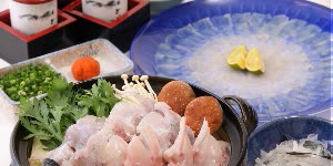 日本東京 河豚料理專門店・虎河豚亭 $1585 - 愛票網