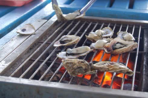 澎湖海洋牧場 垂釣體驗．鮮蚵炭烤．海鮮粥吃到飽 $450 - 愛票網